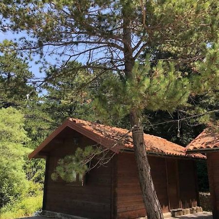 Вілла The Old Man'S Chalet Dukat Екстер'єр фото